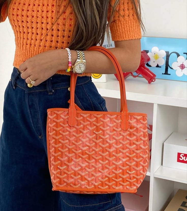 Goyard Anjou Mini - Matching Wallet & Insert Included