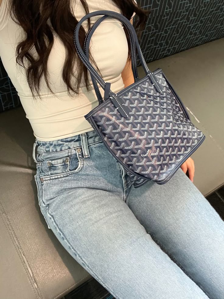 Goyard Anjou Mini - Matching Wallet & Insert Included