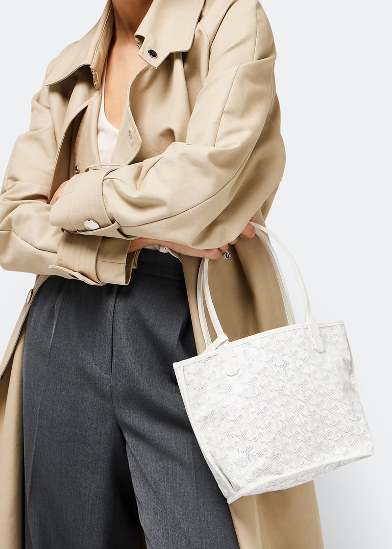 Goyard Anjou Mini - Matching Wallet & Insert Included